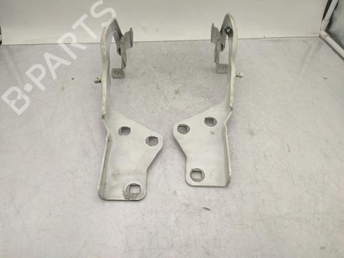 Used Hinge/Door check strap RENAULT SCÉNIC IV (J9_) 1.6 dCi 130 (130 hp) 26393123