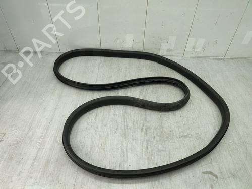 Used Rubber door seal RENAULT SCÉNIC IV (J9_) 1.3 TCe 140 (140 hp) 24146285