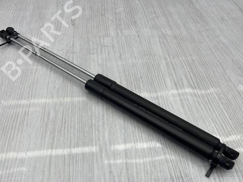 tailgate-lift-support-renault-laguna-coupe-dt01-2008-2009-2010-2011-2012-2013-2014-2015-23759198 main image