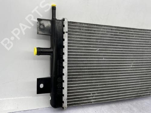 Used Water radiator Water radiator DACIA SPRING EV (B6M1) (45 hp) 23751156 23751156