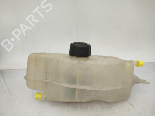 Expansion tank RENAULT CLIO III (BR0/1, CR0/1) 1.5 dCi (C/BR0G, C/BR1G) | BP23711556C120 