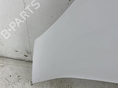 Hood RENAULT KANGOO Express (FW0/1_) 1.5 dCi 90 (FW0G, FW05, FW08, FW11) | BP28209530C1