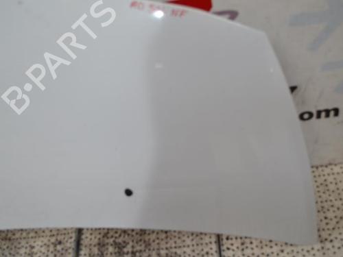 Hood RENAULT CLIO III (BR0/1, CR0/1) 1.5 dCi (C/BR0G, C/BR1G) | BP23685680C1 