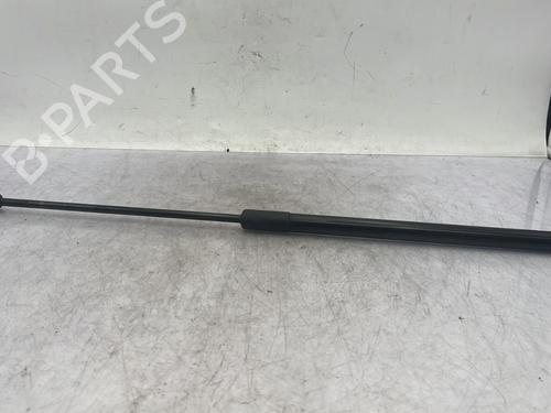 Amortiguador capot DACIA DUSTER (HS_) 1.5 dCi (86 hp) 31016894