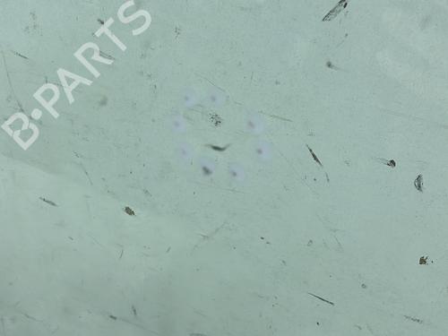 Windscreen RENAULT TRAFIC II Van (FL) 1.9 dCi 80 (FL0B) | BP30777675C63