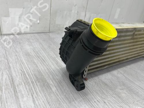 Intercooler RENAULT KANGOO Express (FW0/1_) | BP38425943M30 - Image 4