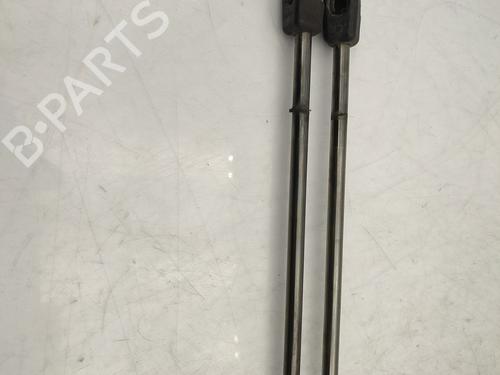 Tailgate lift support DACIA SANDERO 1.5 dCi | BP25820262C138