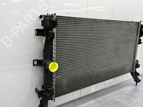 Køler RENAULT LAGUNA III (BT0/1) 2.0 dCi (BT0M, BT0N, BT0S, BT19, BT1F) | BP25890492M31 