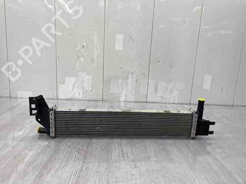 Køler DACIA DUSTER (HM_) 1.5 dCi 115 4x4 (HMAD) | BP38426019M31 - Image 4