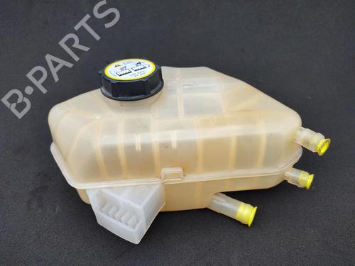 Used Expansion tank FORD FIESTA VI (CB1, CCN) 1.0 EcoBoost (100 hp) 23753813