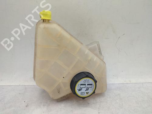 Expansion tank FORD B-MAX (JK) 1.6 TDCi | BP29484857C120 