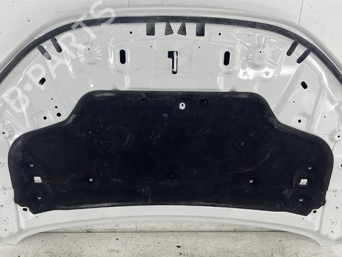 Hood DACIA SANDERO III 1.0 TCe 100 ECO-G | BP29504148C1 