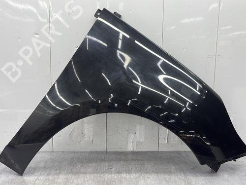 Used Right front fenders RENAULT SCÉNIC III (JZ0/1_) 1.9 dCi (JZ0J, JZ1J, JZ1K, JZ1S) (131 hp) 27304226