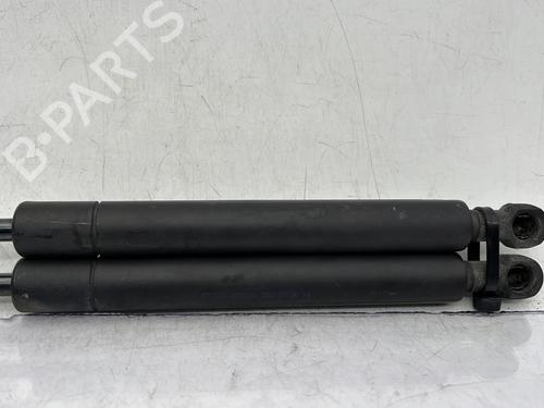 Hood lift support BMW 3 (E46) 320 d | BP23760346C139