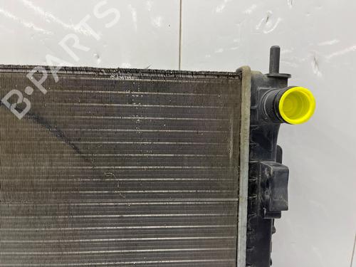 Water radiator RENAULT TWINGO II (CN0_) 1.5 dCi (CN0E) | BP38561321M31 - Image 8