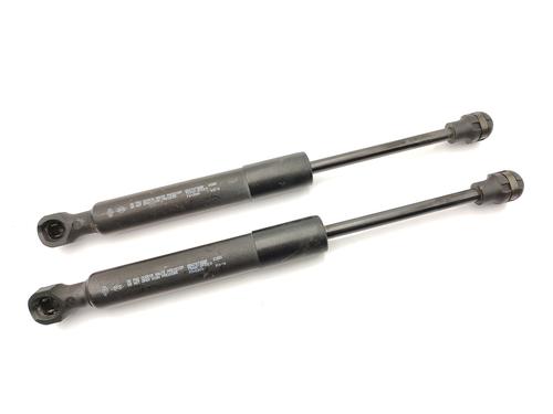 hood-lift-support-renault-zoe-bfm_-2012-23759617 main image