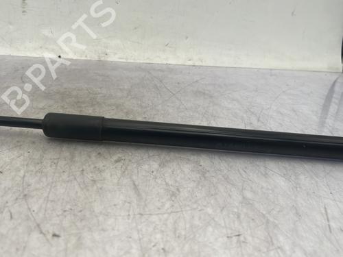 Hood lift support DACIA DUSTER (HS_) 1.5 dCi | BP31016894C139