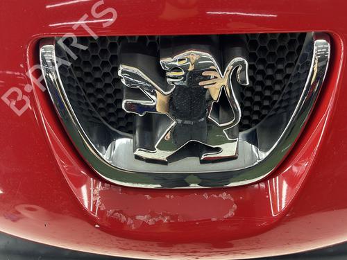 Front bumper PEUGEOT 207 (WA_, WC_) 1.4 HDi | BP29590808C7 