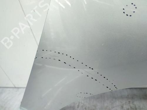 Right front fenders RENAULT SCÉNIC III (JZ0/1_) 1.5 dCi | BP23676968C42 
