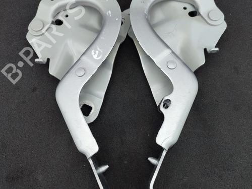 hingedoor-check-strap-renault-zoe-bfm_-2012-23759620 main image