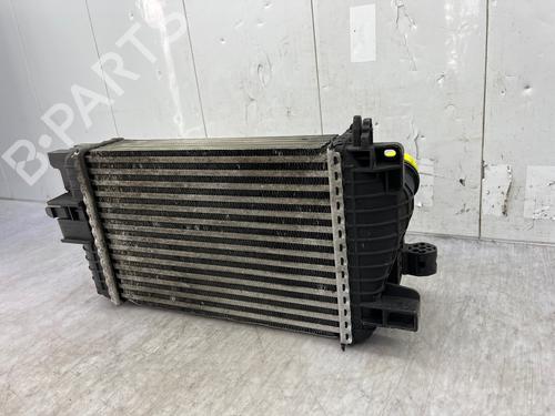 Intercooler OPEL MERIVA B MPV (S10) 1.7 CDTI (75) | BP35890139M30 - Image 8