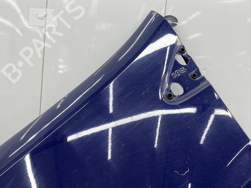 Left front fenders RENAULT CLIO III (BR0/1, CR0/1) 1.4 16V | BP23684285C41 
