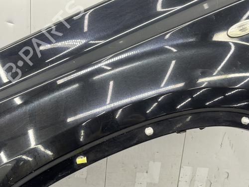 Left front fenders NISSAN X-TRAIL II (T31) 2.0 dCi 4x4 | BP27329869C41 