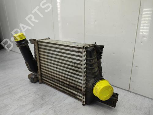 Intercooler DACIA DUSTER (HS_) 1.2 TCe 125 | BP23723125M30 - Image 2