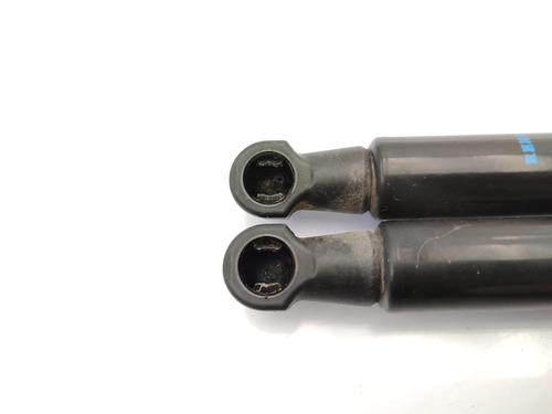 Hood lift support RENAULT SCÉNIC III (JZ0/1_) 1.2 TCe | BP23742000C139