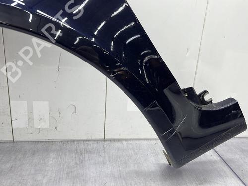 Left front fenders RENAULT LAGUNA II Grandtour (KG0/1_) 1.9 dCi (KG0G) | BP24865822C41 