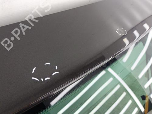 Tailgate VW PASSAT B6 Variant (3C5) 2.0 TDI 16V | BP23741442C6 