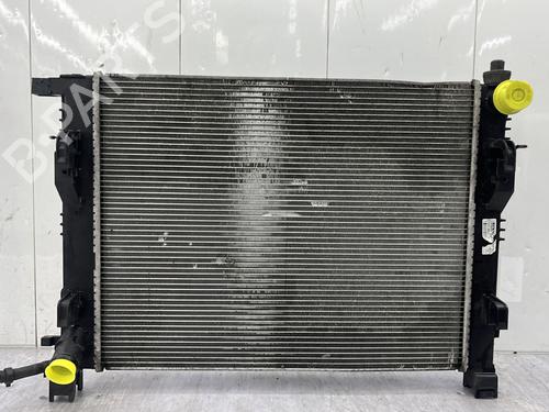 Used Water radiator DACIA SANDERO II TCe 90 (B8M1, B8MA, B8AC) (90 hp) 30887041