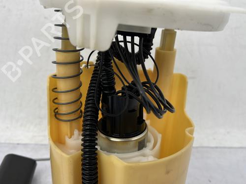 Fuel pump RENAULT CLIO V (B7_) 1.5 Blue dCi 85 (B7AG) | BP30173830M76