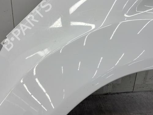 Left front fenders FORD FIESTA VI (CB1, CCN) 1.25 | BP25997709C41 