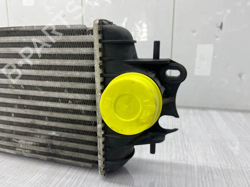 Intercooler RENAULT TRAFIC II Van (FL) 1.9 dCi 80 (FL0B) | BP37717369M30 - Image 8