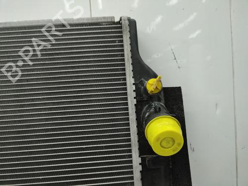 Køler TOYOTA RAV 4 III (_A3_) 2.2 D 4WD (ALA30_, ALA30R) | BP28673075M31