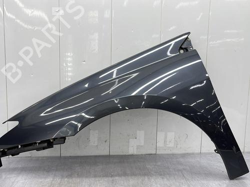 Used Left front fenders RENAULT LAGUNA III (BT0/1) 2.0 dCi (BT01, BT08, BT09, BT0E, BT0K, BT12, BT1C, BT1D,... (150 hp) 25475111