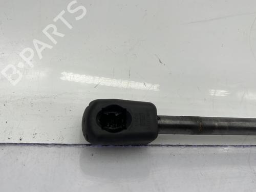 Hood lift support RENAULT MEGANE III Hatchback (BZ0/1_, B3_) 1.9 dCi (BZ0N, BZ0J) | BP24509443C139 