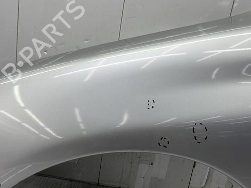 Left front fenders PEUGEOT 206 Hatchback (2A/C) 1.4 HDi eco 70 | BP28110267C41 