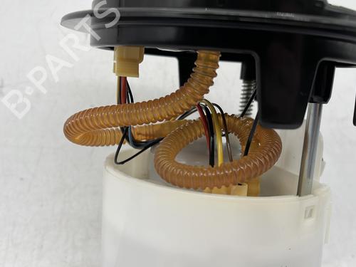 Fuel pump CITROËN C3 III (SX) 1.2 THP 110 (SXHNPS, SXHNZT, SXHNZ6) | BP30295875M76 