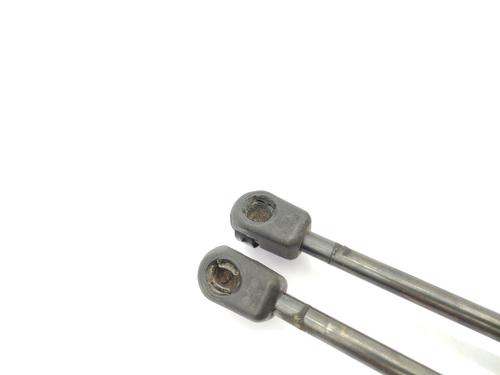 Tailgate lift support VW GOLF V (1K1) 1.9 TDI | BP23741514C138 