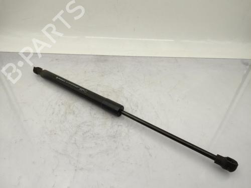 Hood lift support RENAULT CLIO IV (BH_) 1.5 dCi 90 | BP23722974C139