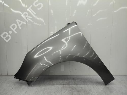 Left front fenders RENAULT SCÉNIC III (JZ0/1_) 1.9 dCi (JZ0J, JZ1J, JZ1K, JZ1S) | BP23706883C41 