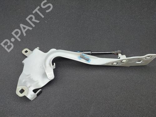 hingedoor-check-strap-renault-scenic-iii-jz01_-2008-2009-2010-2011-2012-2013-2014-2015-2016-23722785 main image