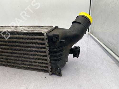 Intercooler Intercooler CITROËN C5 II (RC_) [2004-2008] 35890486 35890486