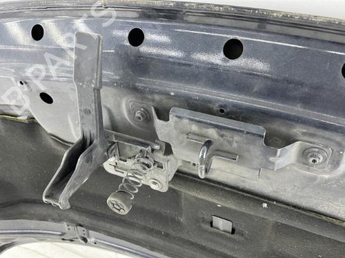 Hood RENAULT SCÉNIC III (JZ0/1_) 1.5 dCi | BP23754256C1