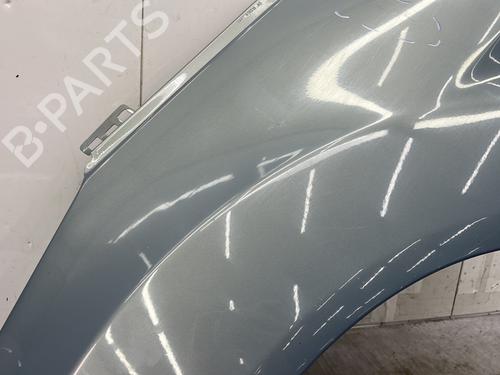 Left front fenders FORD FIESTA VI (CB1, CCN) 1.4 TDCi | BP27485501C41 
