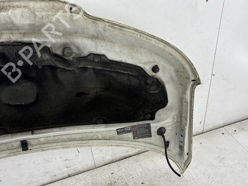 Hood VW TRANSPORTER T5 Van (7HA, 7HH, 7EA, 7EH) 1.9 TDI | BP27571229C1 