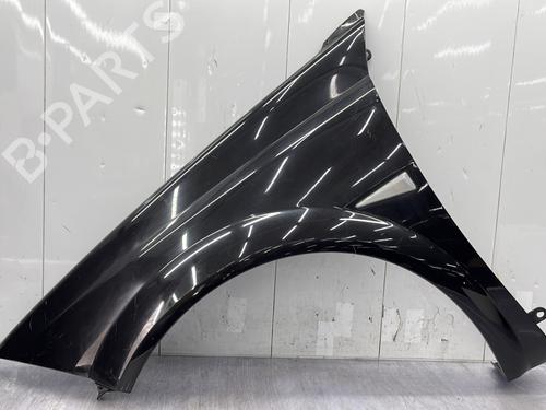 Voorscherm links RENAULT MEGANE II Coupé-Cabriolet (EM0/1_) 1.9 dCi (120 hp) 30698531