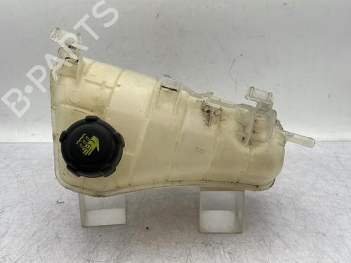 Used Expansion tank RENAULT KANGOO / GRAND KANGOO II (KW0/1_) 1.5 dCi 90 (KW05, KW08, KW0G, KW11) (90 hp) 29968126